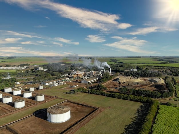 Biofuel & Mobility: Can Sustainable Solutions Cut Emissions?