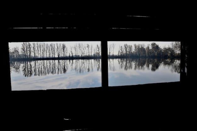 A split-screen image showing the same scene as perceived by a camera (washed out image due to sun glare) and by LiDAR (clear and detailed point cloud), highlighting LiDAR's robustness in challenging lighting conditions.